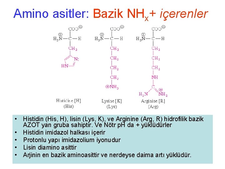 Amino asitler: Bazik NHx+ içerenler • Histidin (His, H), lisin (Lys, K), ve Arginine