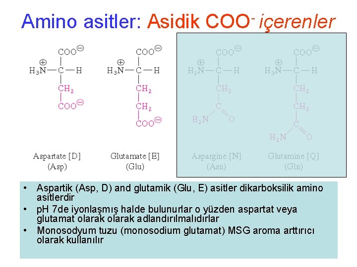 Amino asitler: Asidik COO- içerenler • Aspartik (Asp, D) and glutamik (Glu, E) asitler