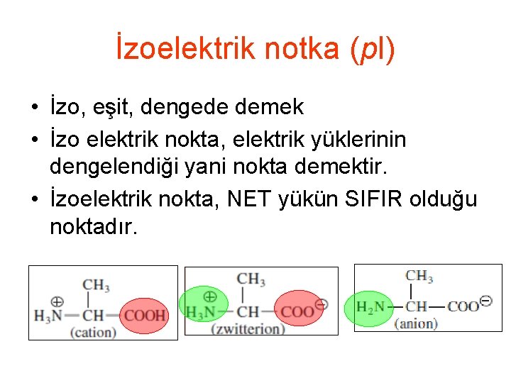 İzoelektrik notka (p. I) • İzo, eşit, dengede demek • İzo elektrik nokta, elektrik