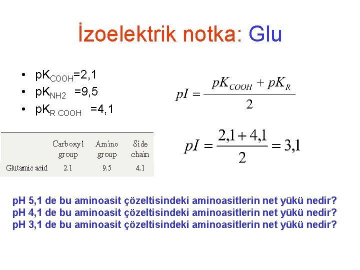 İzoelektrik notka: Glu • p. KCOOH=2, 1 • p. KNH 2 =9, 5 •