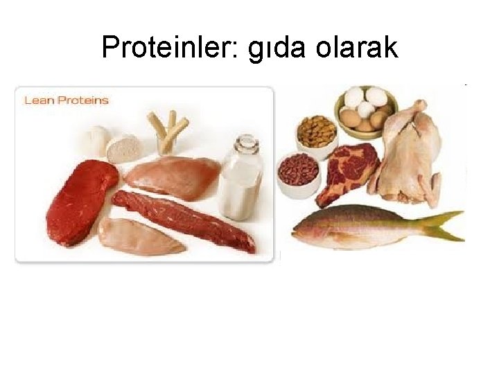 Proteinler: gıda olarak 