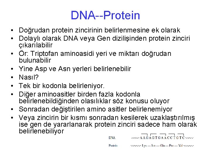 DNA--Protein • Doğrudan protein zincirinin belirlenmesine ek olarak • Dolaylı olarak DNA veya Gen