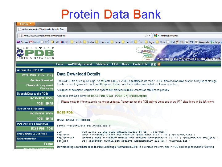 Protein Data Bank 