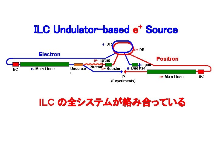 ILC Undulator-based e+ Source e- DR e+ DR Electron Positron e+ Target BC e-