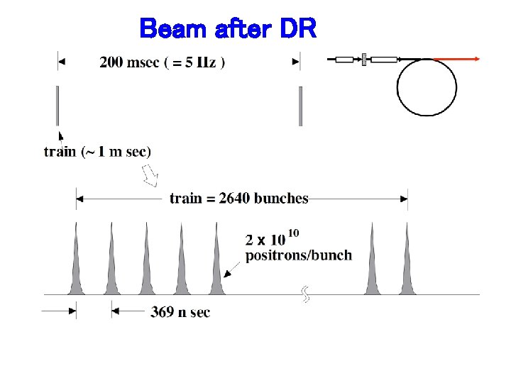 Beam after DR 