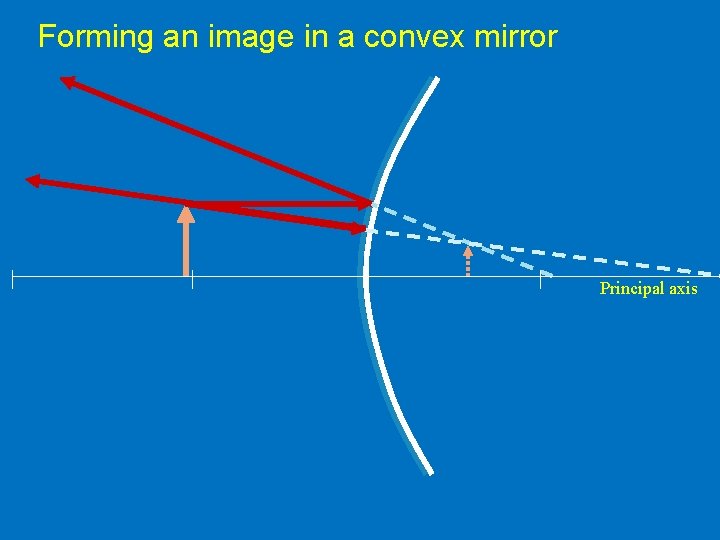 Forming an image in a convex mirror Principal axis 