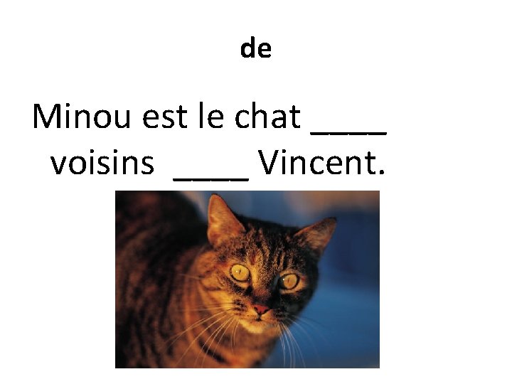 de Minou est le chat ____ voisins ____ Vincent. 