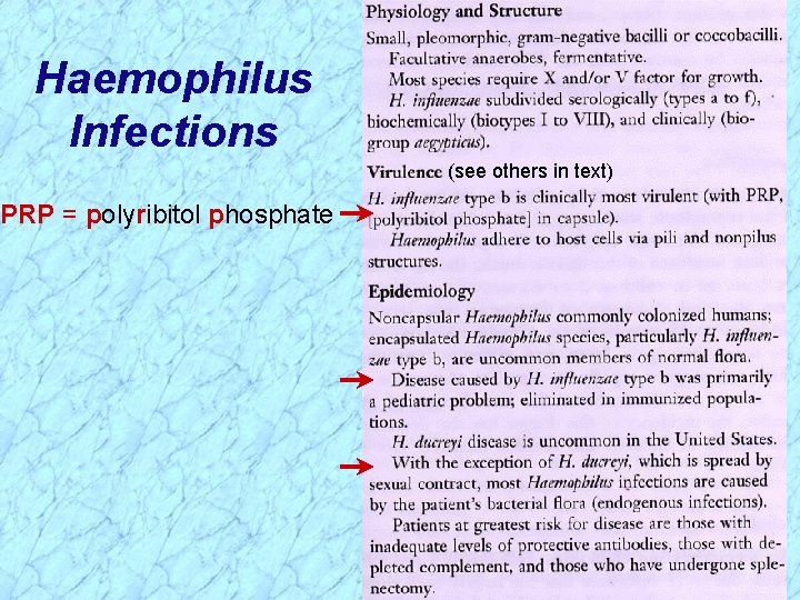 Haemophilus Infections PRP = polyribitol phosphate (see others in text) 