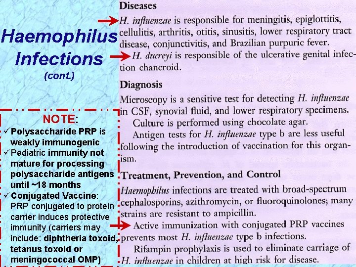 Haemophilus Infections (cont. ) NOTE: üPolysaccharide PRP is weakly immunogenic üPediatric immunity not mature