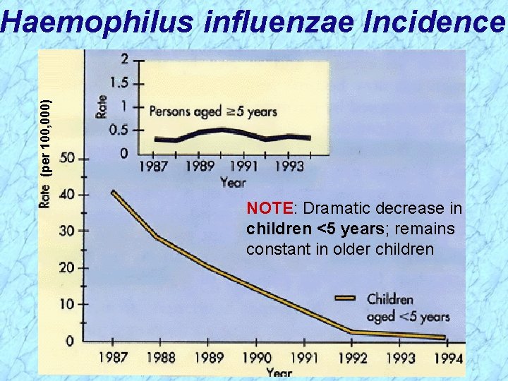 (per 100, 000) Haemophilus influenzae Incidence NOTE: Dramatic decrease in children <5 years; remains