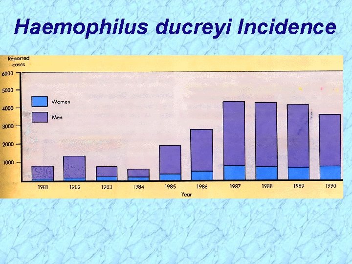 Haemophilus ducreyi Incidence 