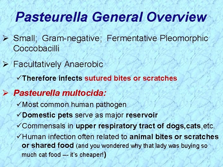 Pasteurella General Overview Ø Small; Gram-negative; Fermentative Pleomorphic Coccobacilli Ø Facultatively Anaerobic üTherefore infects