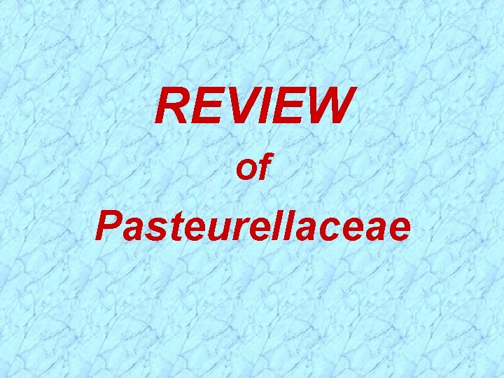 REVIEW of Pasteurellaceae 