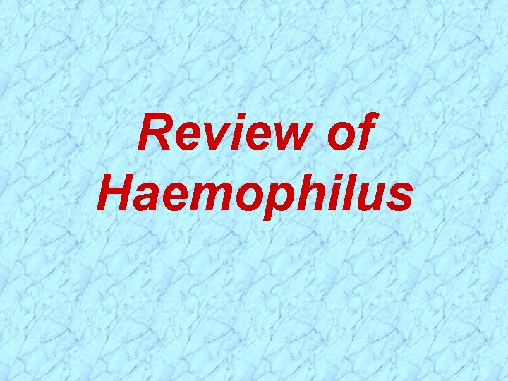 Review of Haemophilus 