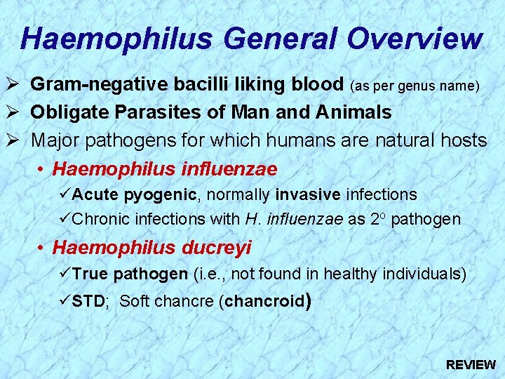 Haemophilus General Overview Ø Gram-negative bacilli liking blood (as per genus name) Ø Obligate