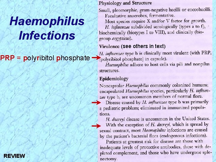 Haemophilus Infections (see others in text) PRP = polyribitol phosphate REVIEW 
