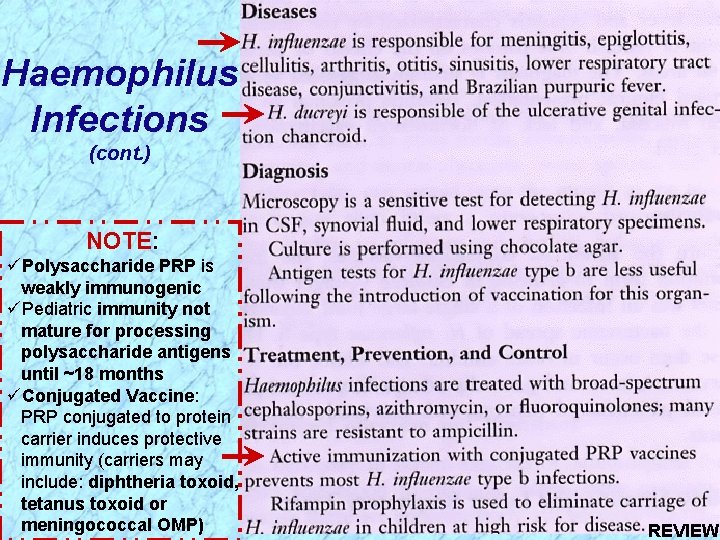 Haemophilus Infections (cont. ) NOTE: üPolysaccharide PRP is weakly immunogenic üPediatric immunity not mature