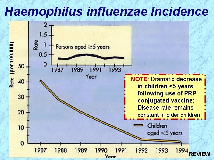 (per 100, 000) Haemophilus influenzae Incidence NOTE: Dramatic decrease in children <5 years following