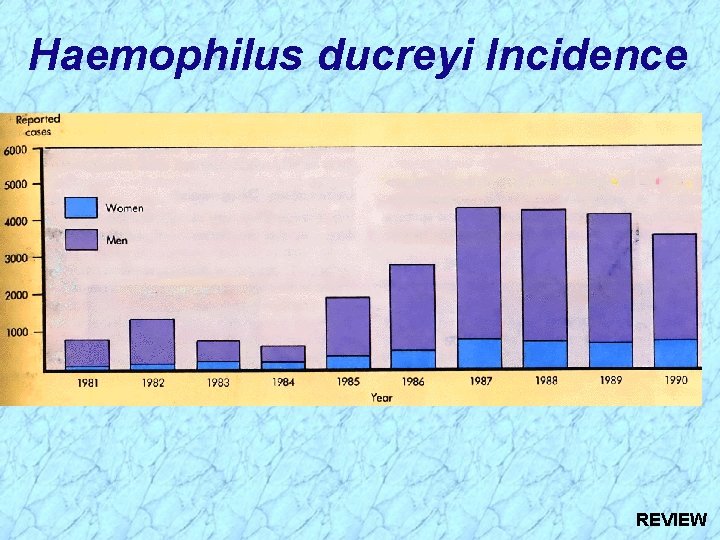 Haemophilus ducreyi Incidence REVIEW 