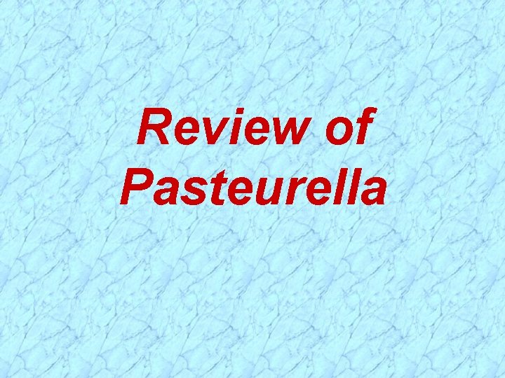 Review of Pasteurella 