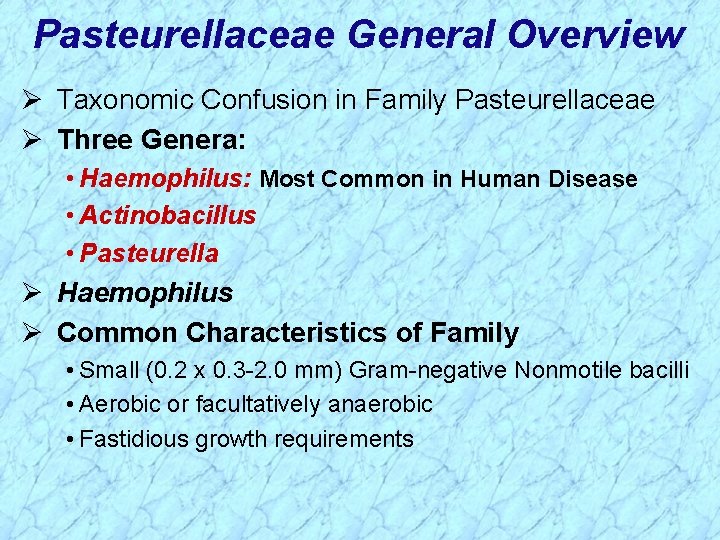 Pasteurellaceae General Overview Ø Taxonomic Confusion in Family Pasteurellaceae Ø Three Genera: • Haemophilus: