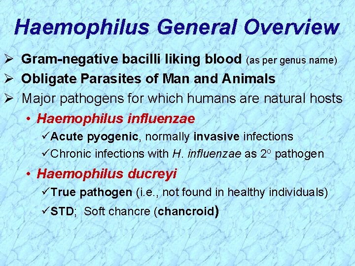 Haemophilus General Overview Ø Gram-negative bacilli liking blood (as per genus name) Ø Obligate