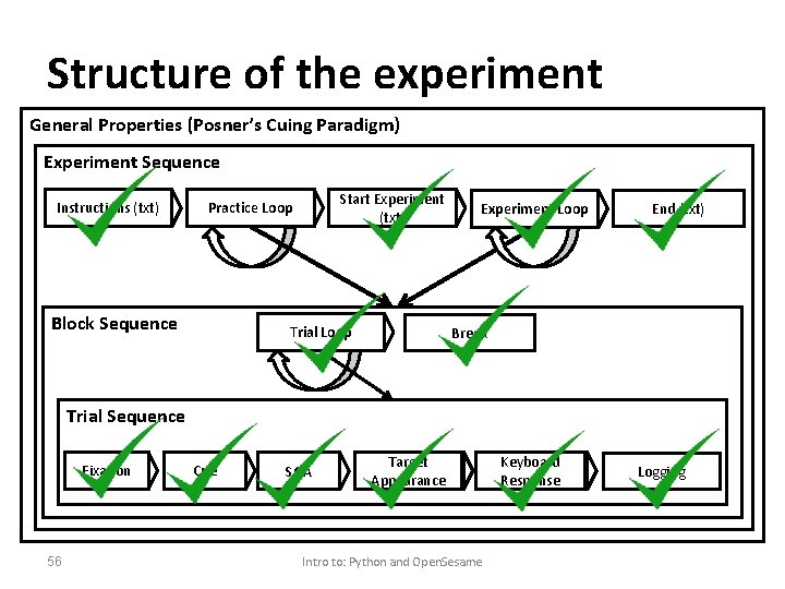 Structure of the experiment General Properties (Posner’s Cuing Paradigm) Experiment Sequence Instructions (txt) Start