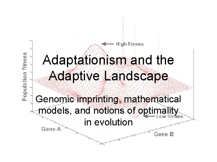 Adaptationism and the Adaptive Landscape Genomic imprinting, mathematical models, and notions of optimality in Adaptationism and the Adaptive Landscape Genomic imprinting, mathematical models, and notions of optimality in