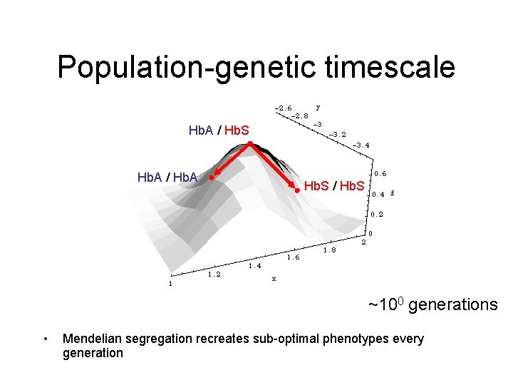 Population-genetic timescale Hb. A / Hb. S Hb. A / Hb. A Hb. S