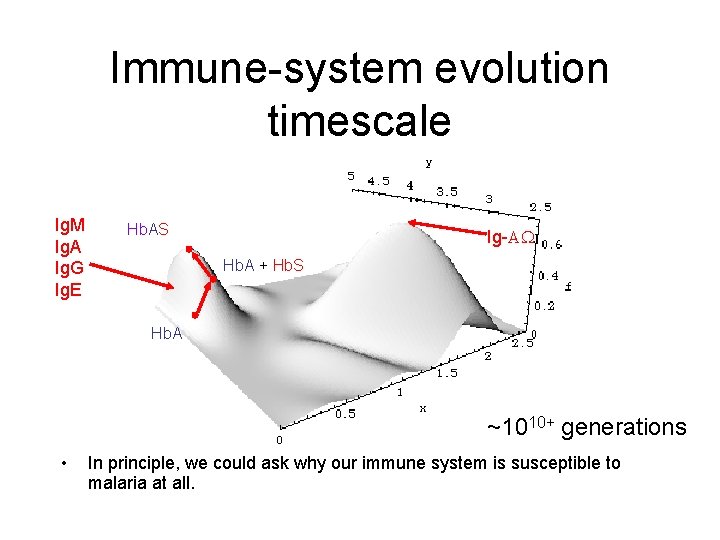 Immune-system evolution timescale Ig. M Ig. A Ig. G Ig. E Hb. AS Ig-