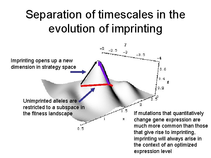 Separation of timescales in the evolution of imprinting Imprinting opens up a new dimension Separation of timescales in the evolution of imprinting Imprinting opens up a new dimension