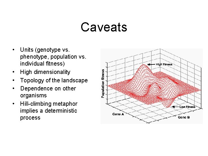 Caveats • Units (genotype vs. phenotype, population vs. individual fitness) • High dimensionality •