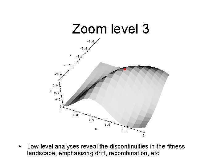 Zoom level 3 • Low-level analyses reveal the discontinuities in the fitness landscape, emphasizing