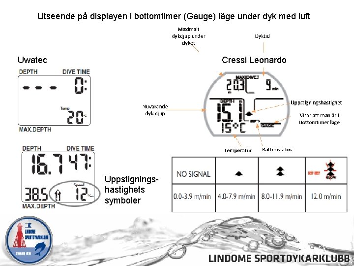 Utseende på displayen i bottomtimer (Gauge) läge under dyk med luft Uwatec Cressi Leonardo