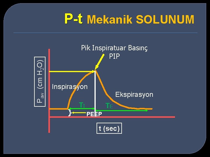 Paw (cm H 2 O) P-t Mekanik SOLUNUM Pik Inspiratuar Basınç PIP Inspirasyon }