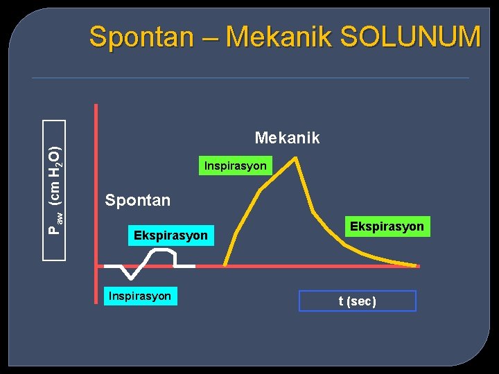 Paw (cm H 2 O) Spontan – Mekanik SOLUNUM Mekanik Inspirasyon Spontan Ekspirasyon Inspirasyon