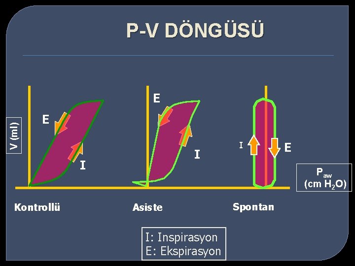 P-V DÖNGÜSÜ V (ml) E E I I Kontrollü I E Paw (cm H