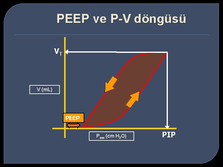 PEEP ve P-V döngüsü VT V (m. L) PEEP Paw (cm H 2 O)