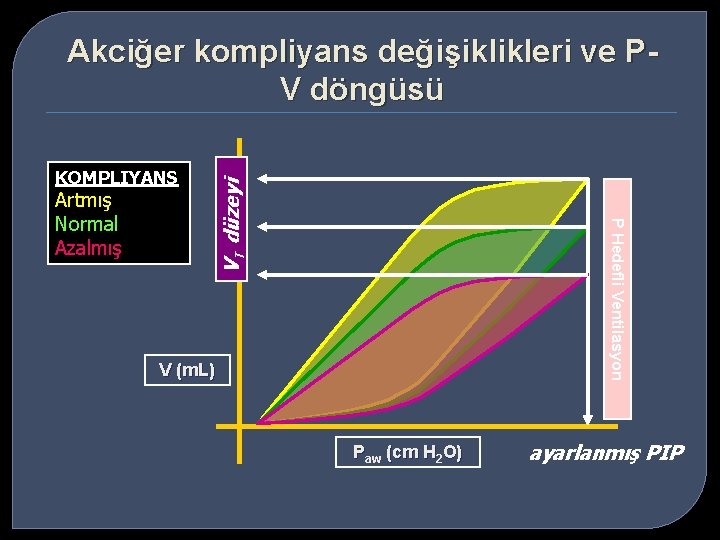 KOMPLIYANS P Hedefli Ventilasyon Artmış Normal Azalmış VT düzeyi Akciğer kompliyans değişiklikleri ve PV