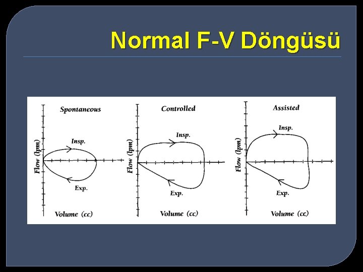 Normal F-V Döngüsü 