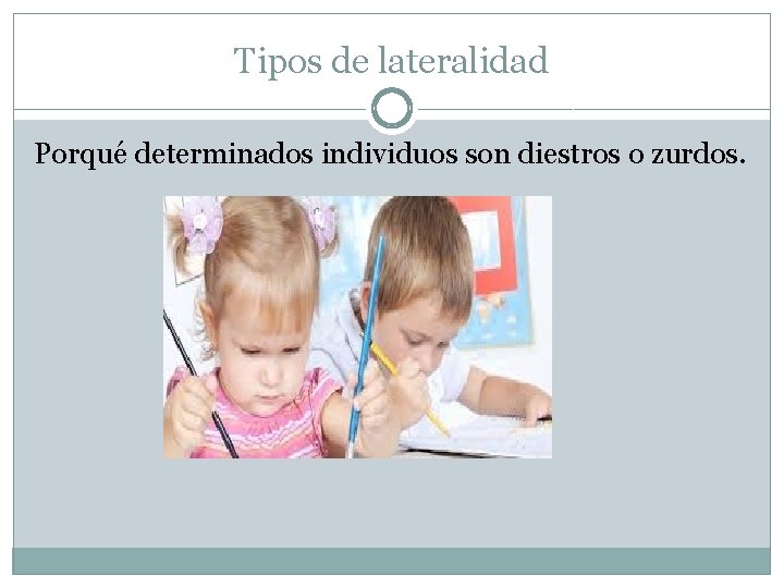 Tipos de lateralidad Porqué determinados individuos son diestros o zurdos. 