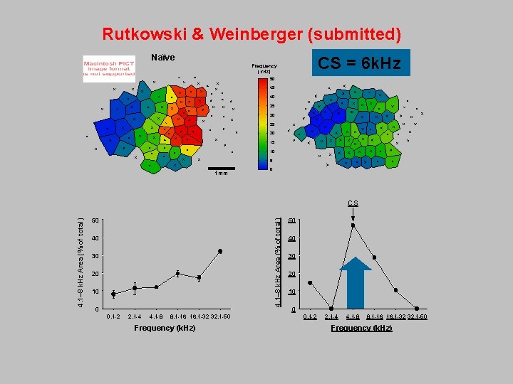 Rutkowski & Weinberger (submitted) Naïve K 3 (90%) CSCS== 6. 06 k. Hz Frequency
