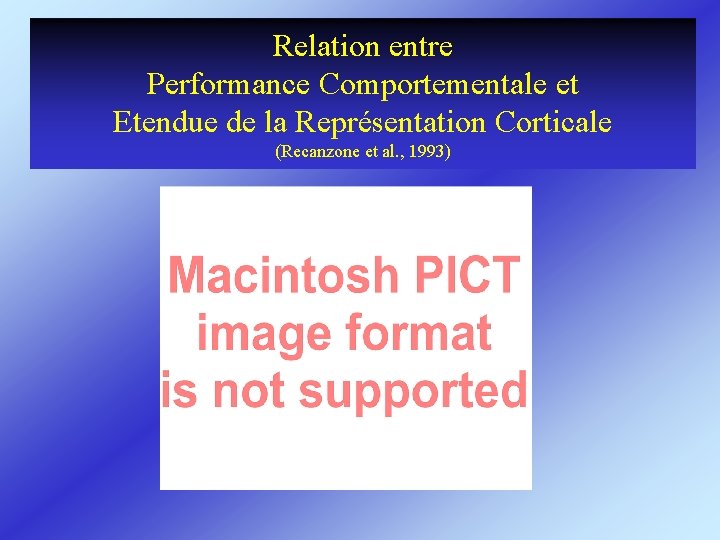 Relation entre Performance Comportementale et Etendue de la Représentation Corticale (Recanzone et al. ,