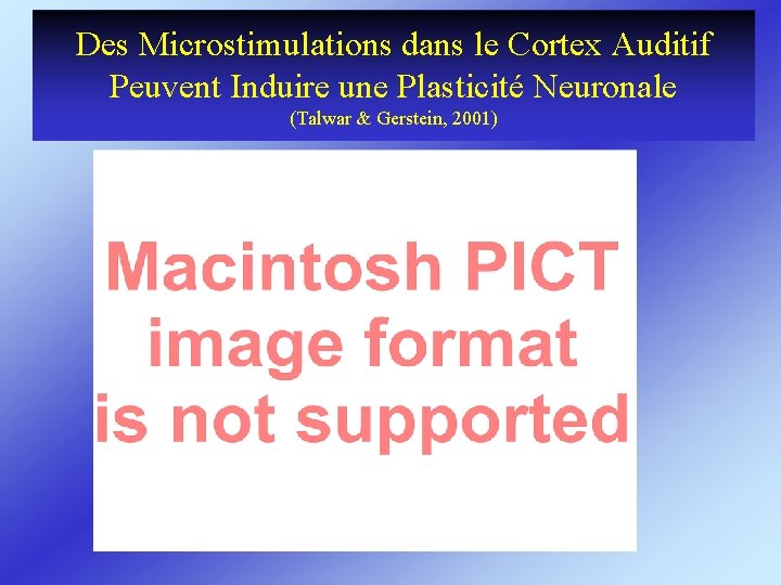 Des Microstimulations dans le Cortex Auditif Peuvent Induire une Plasticité Neuronale (Talwar & Gerstein,