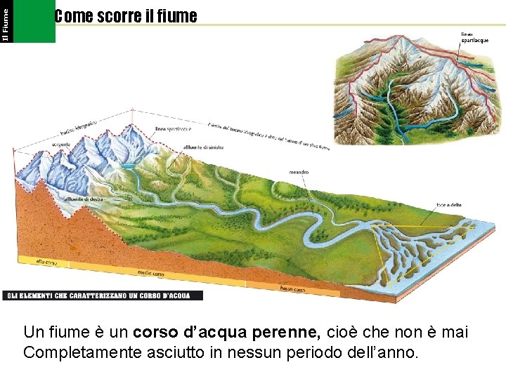 Il Fiume Come scorre il fiume Un fiume è un corso d’acqua perenne, cioè