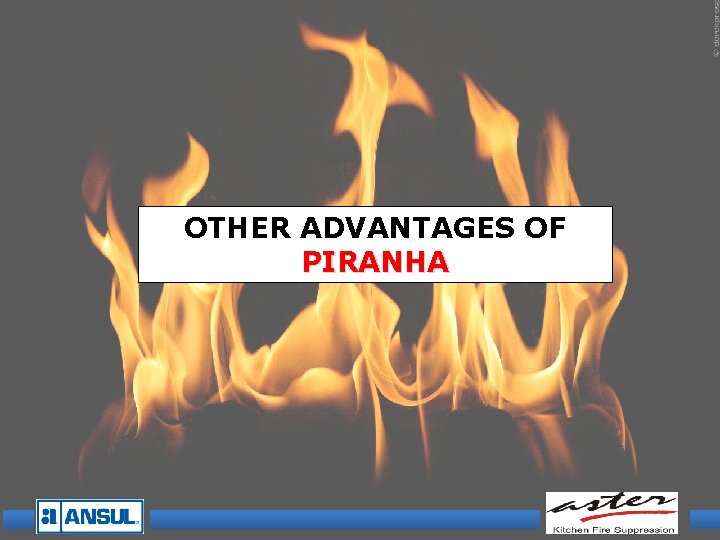 OTHER ADVANTAGES OF PIRANHA OTHER ADVANTAGES OF PIRANHA