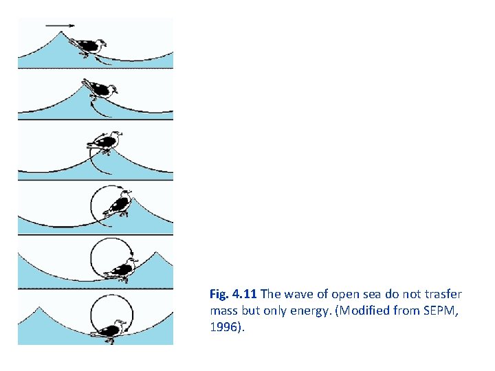 Fig. 4. 11 The wave of open sea do not trasfer mass but only