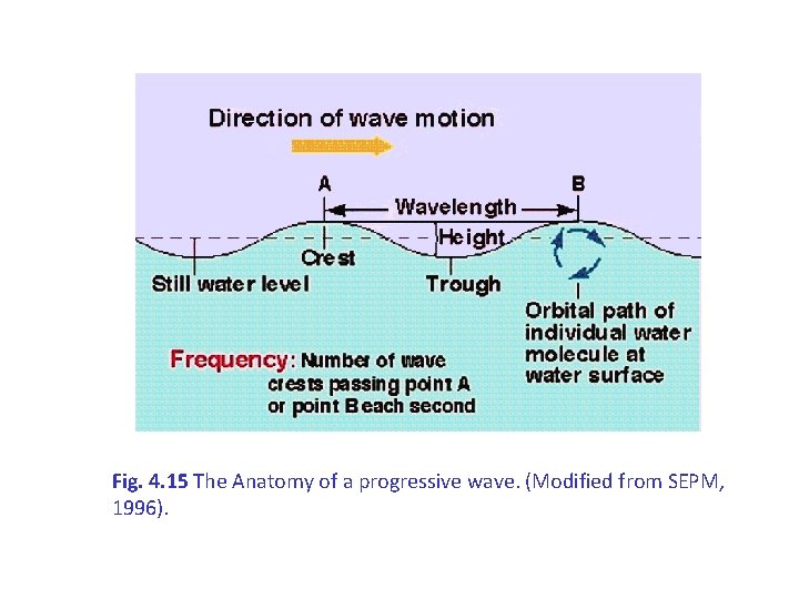 Fig. 4. 15 The Anatomy of a progressive wave. (Modified from SEPM, 1996). 