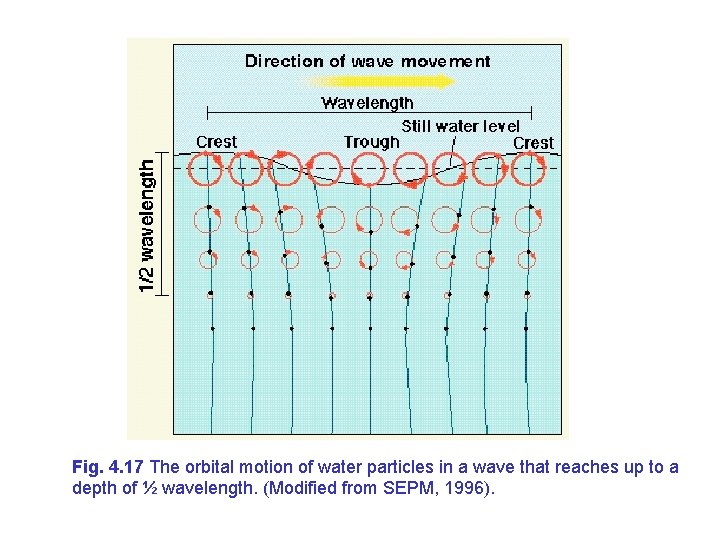 Fig. 4. 17 The orbital motion of water particles in a wave that reaches