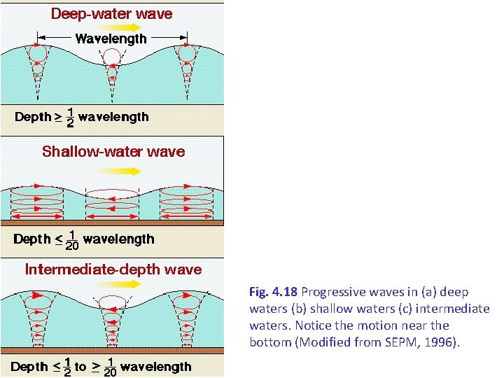 Fig. 4. 18 Progressive waves in (a) deep waters (b) shallow waters (c) intermediate